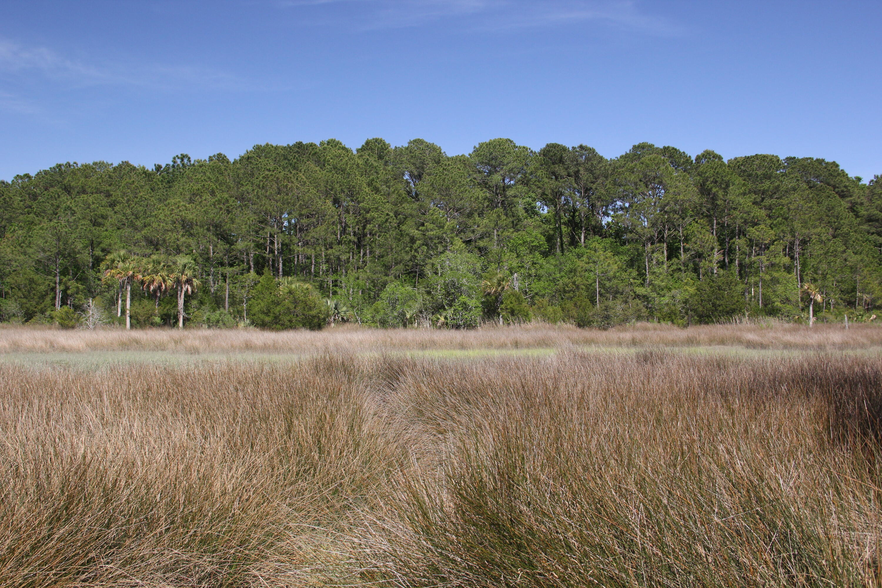 1789 Highway 41 Mount Pleasant, SC 29466 - Photo 1 of 4