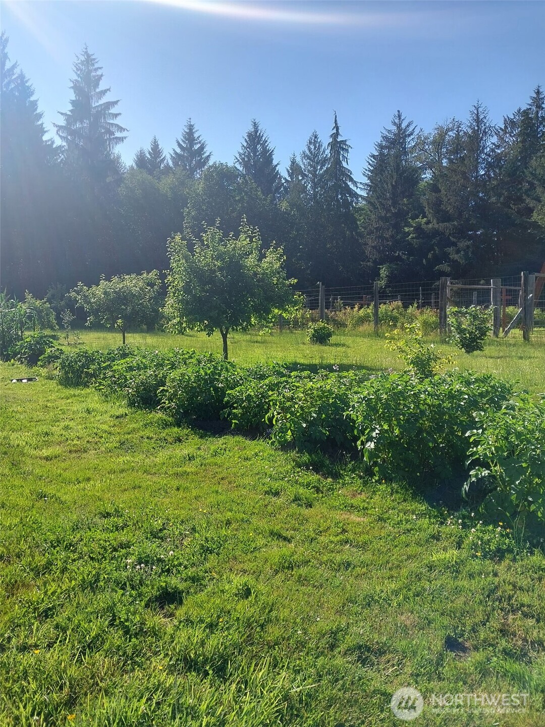 2298 Undie Road Forks, WA 98331 - Photo 36 of 37