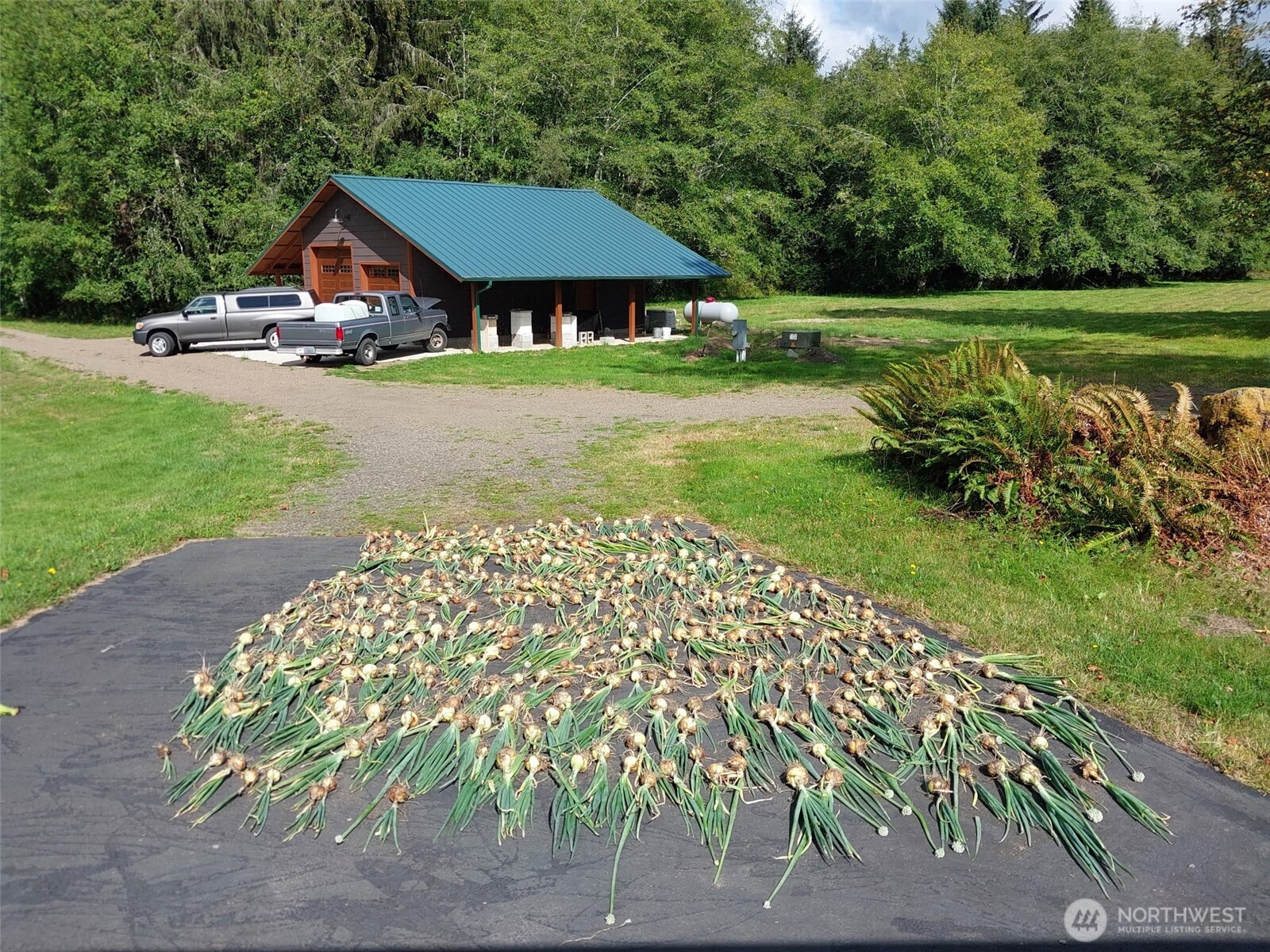 2298 Undie Road Forks, WA 98331 - Photo 37 of 37