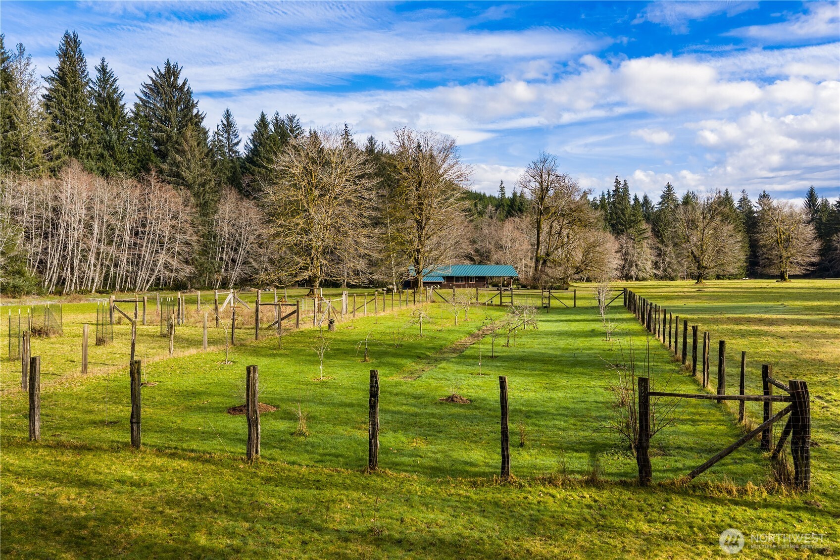 2298 Undie Road Forks, WA 98331 - Photo 4 of 37