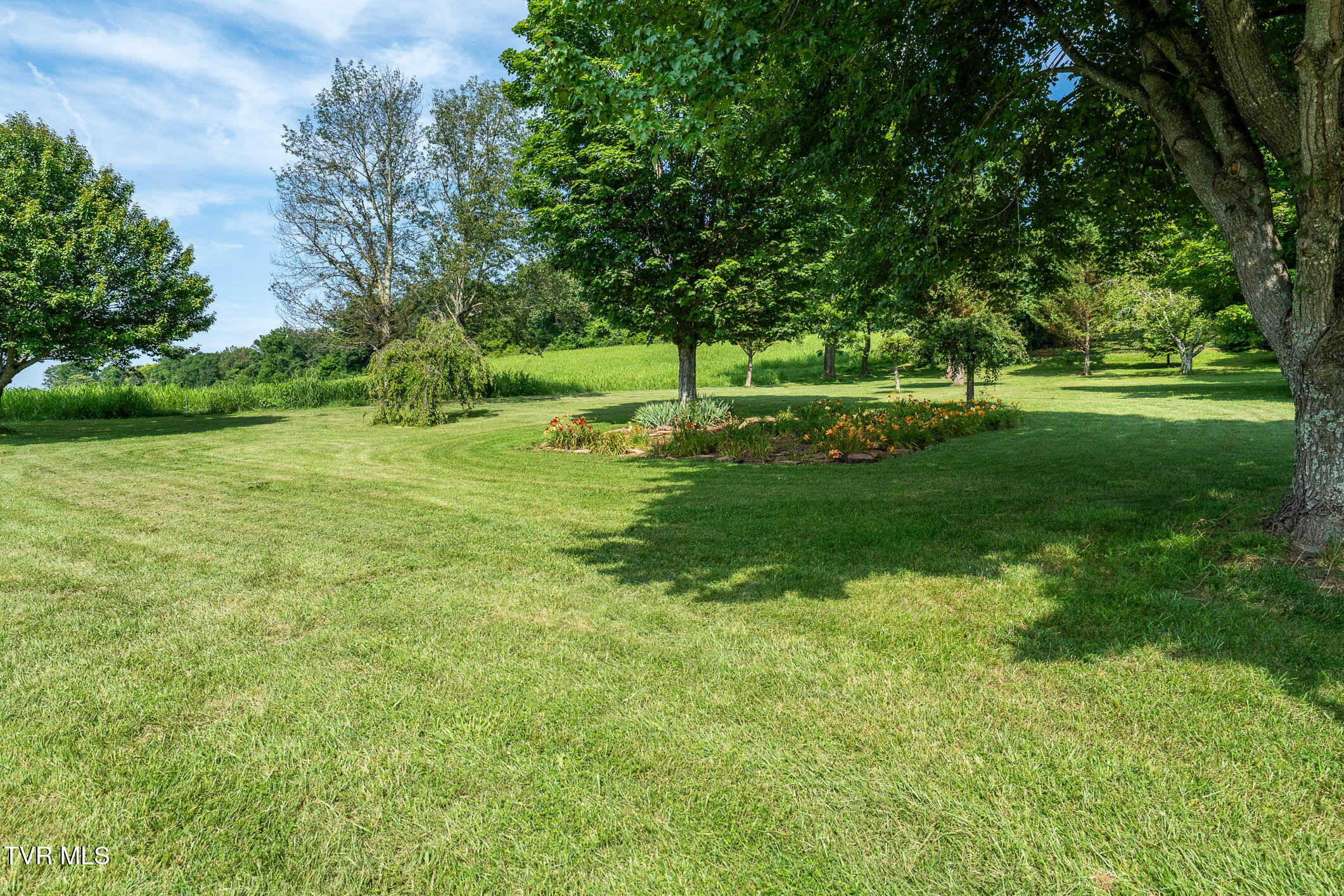 2743 Carroll Creek Road Gray, TN 37615 - Photo 54 of 92 2743 Carroll Creek Rd (50 of 98)