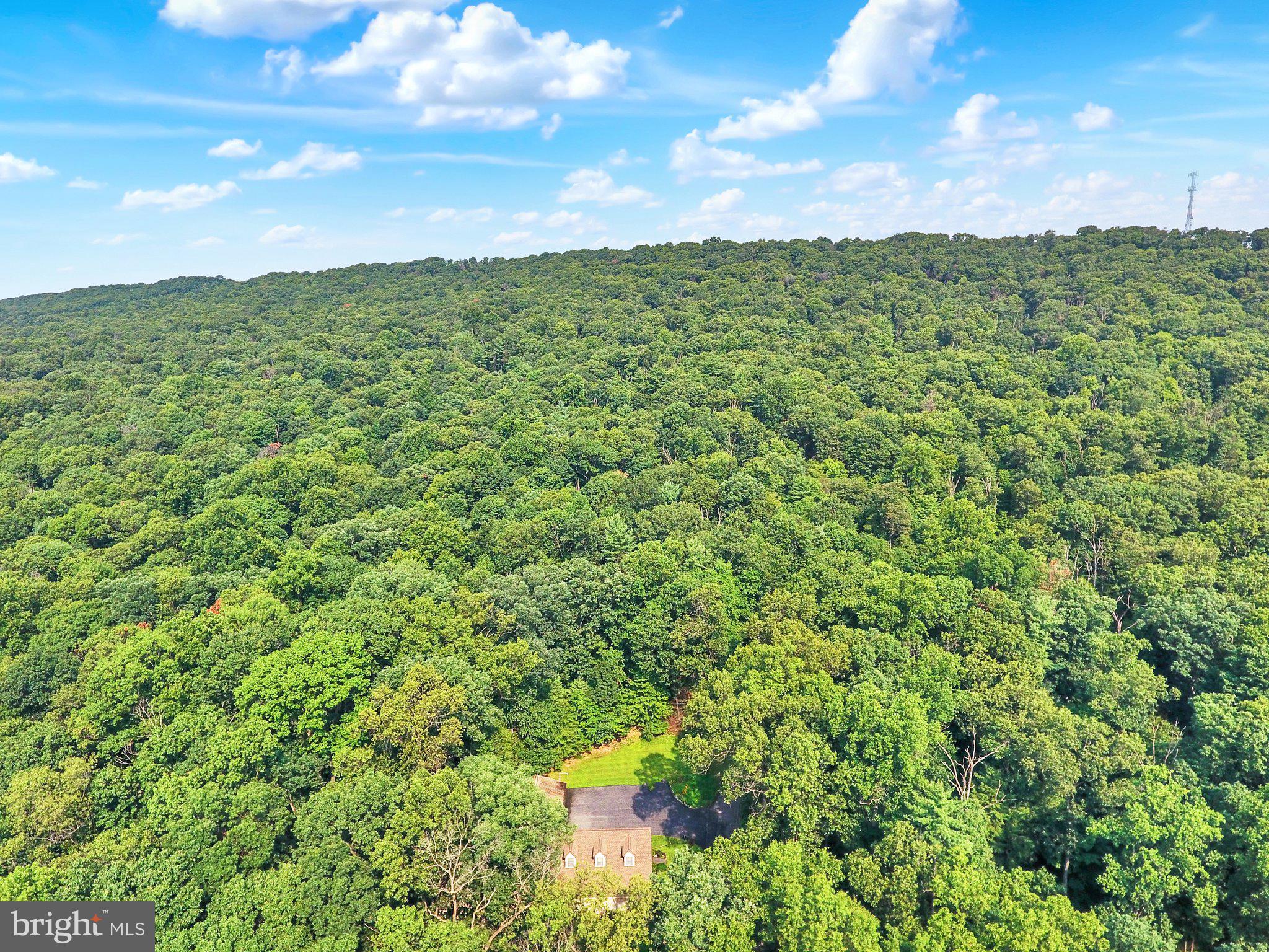 151 Hoffman Road Elizabethville, PA 17023 - Photo 47 of 50 Gallery Image 47