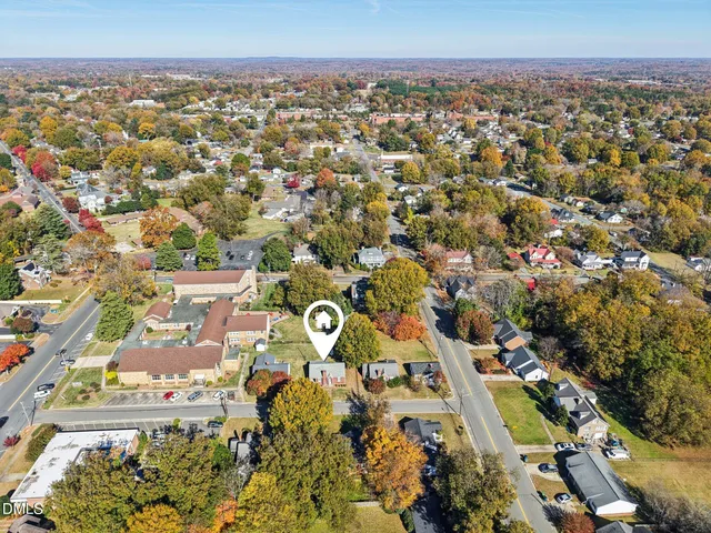 a view of a garden with plants
