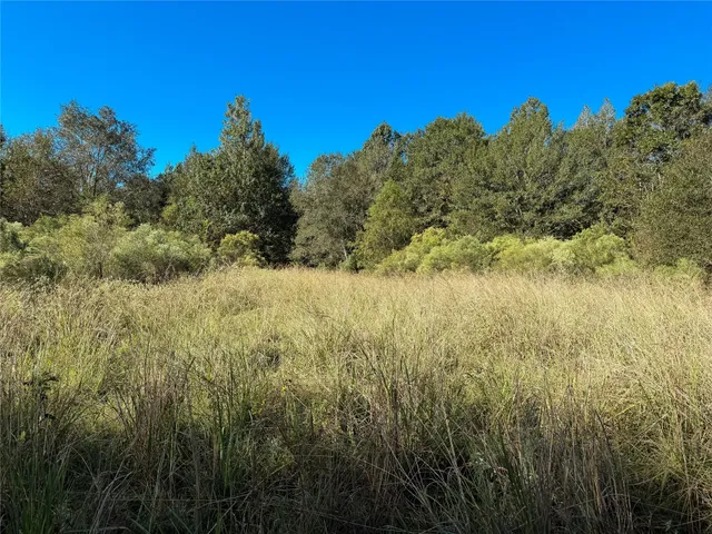 a view of a large yard with lots of bushes