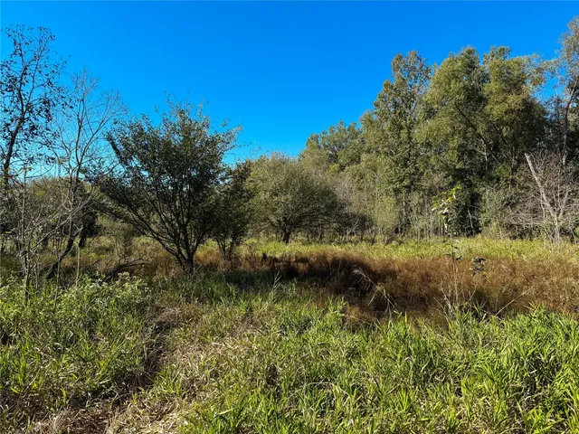 a view of a lake with a tree in the background