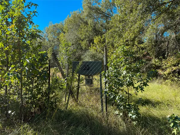 a view of a yard