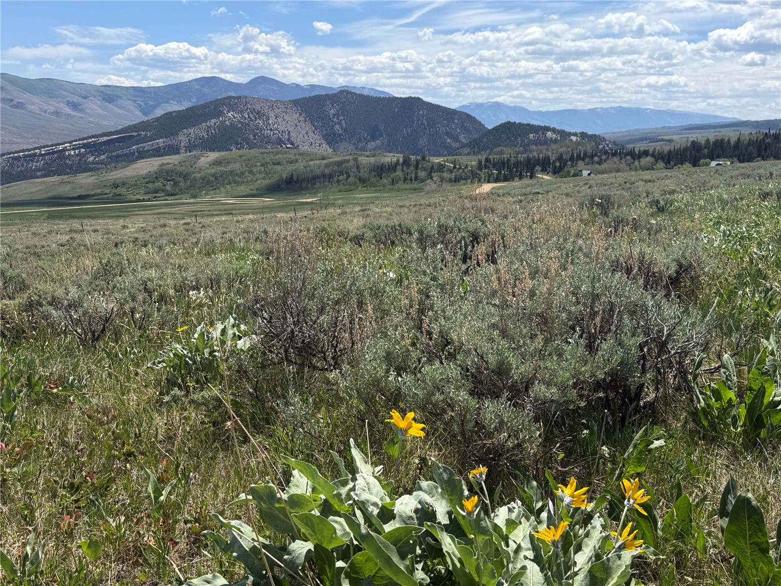 Tbd Spring Creek Ranch Road Silverthorne, CO 80498 - Photo 3 of 48
