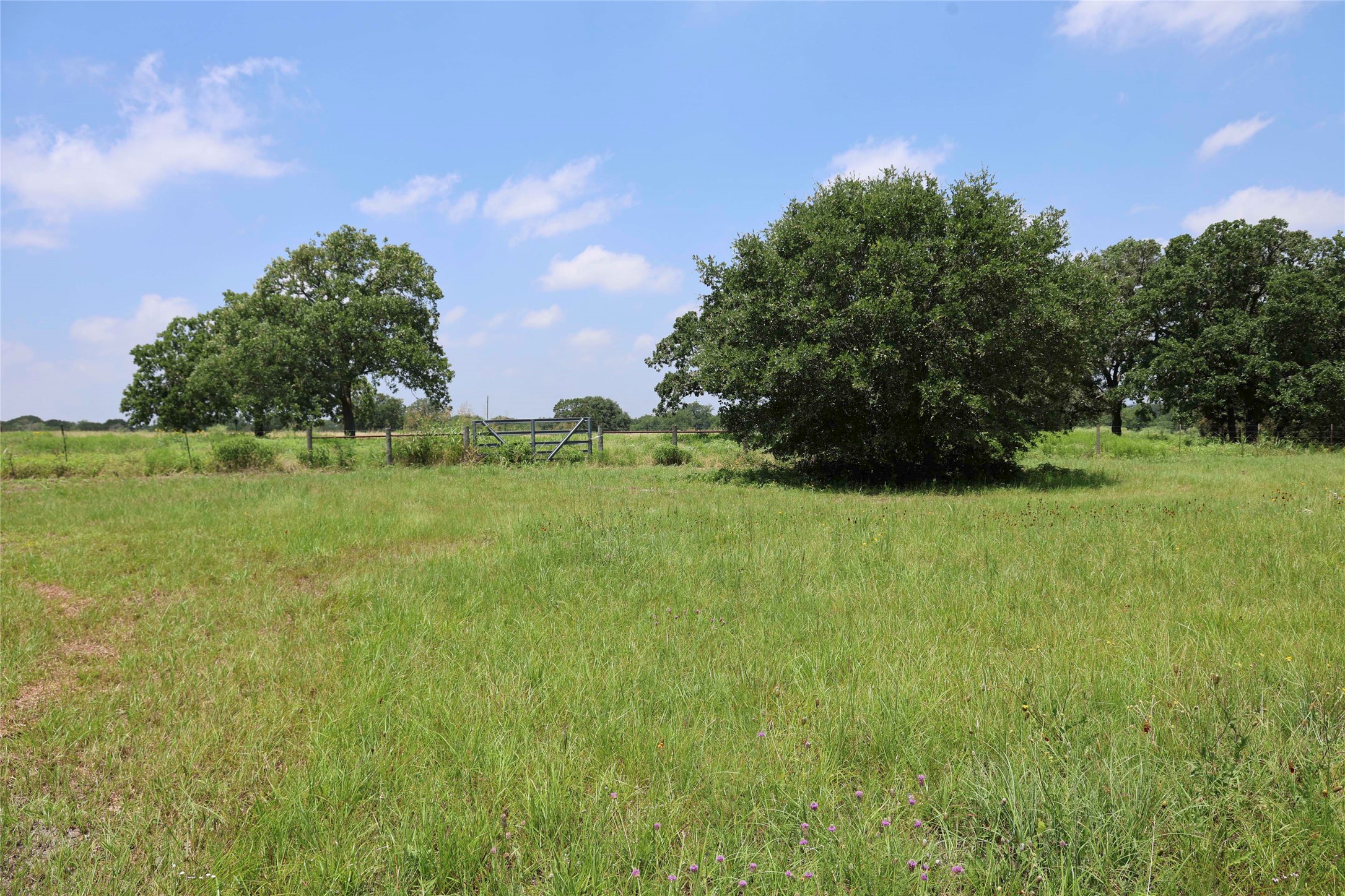 5109 Hranicky Road Schulenburg, TX 78956 - Photo 30 of 33