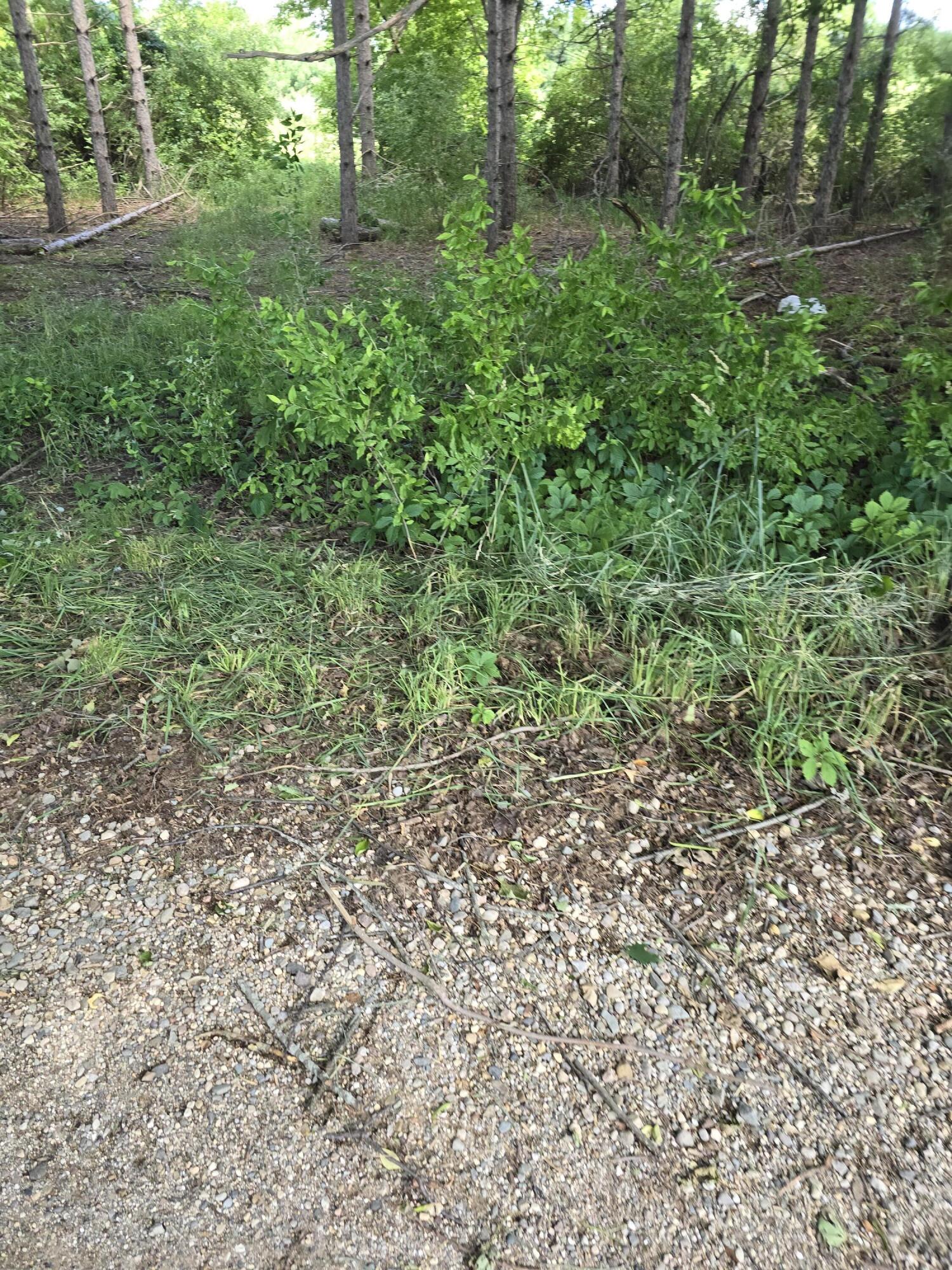 1 Hoover Road Barryton, MI 49305 - Photo 6 of 15 20240627_114357