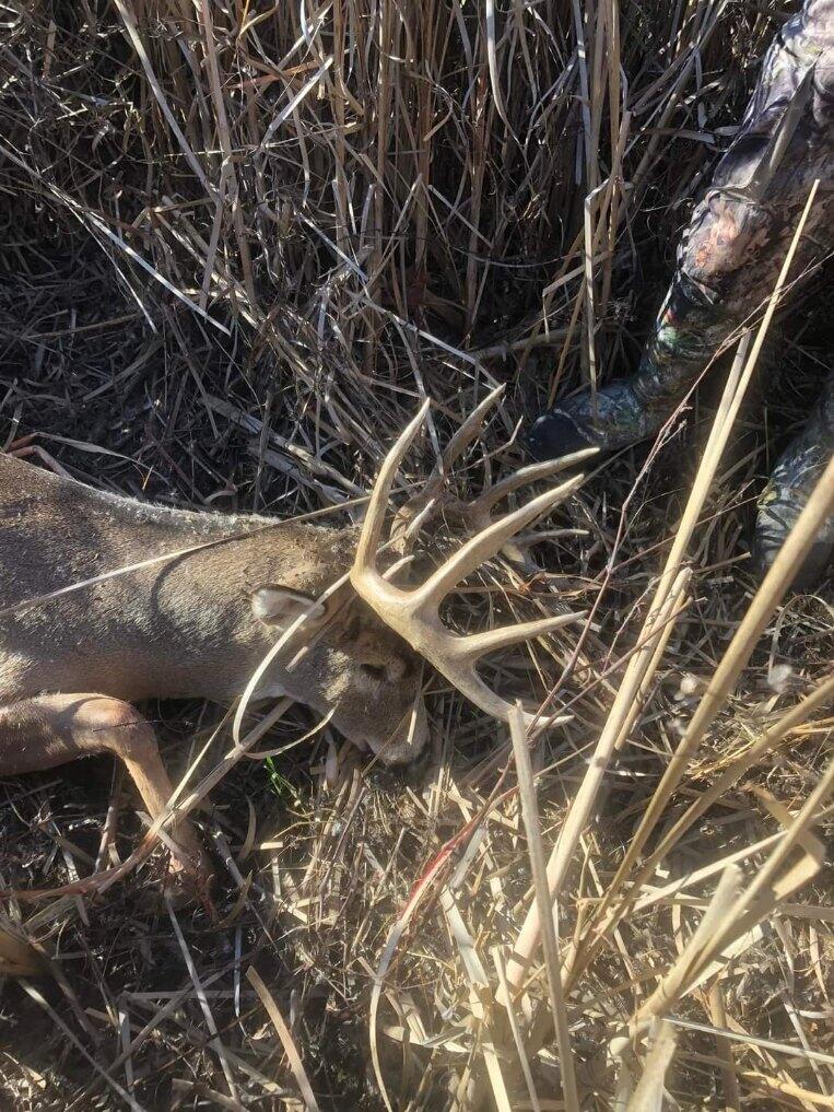 1 Hoover Road Barryton, MI 49305 - Photo 7 of 15 deer pic 4