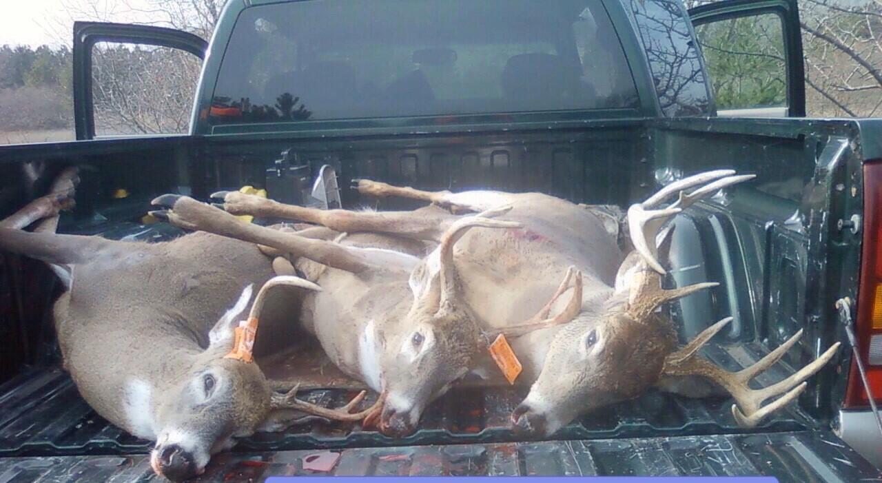 1 Hoover Road Barryton, MI 49305 - Photo 8 of 15 deer pic 1 (1)