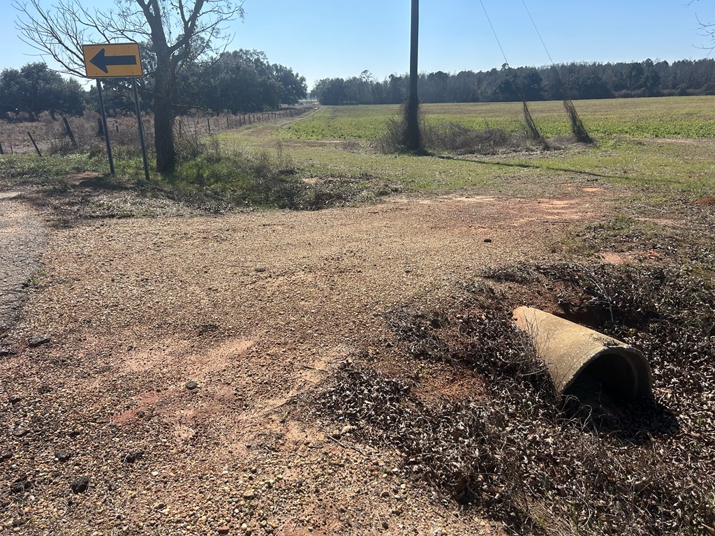 31.5-ac 31.5-ac Rammer Loop Road Dothan, AL 36301 - Photo 20 of 49