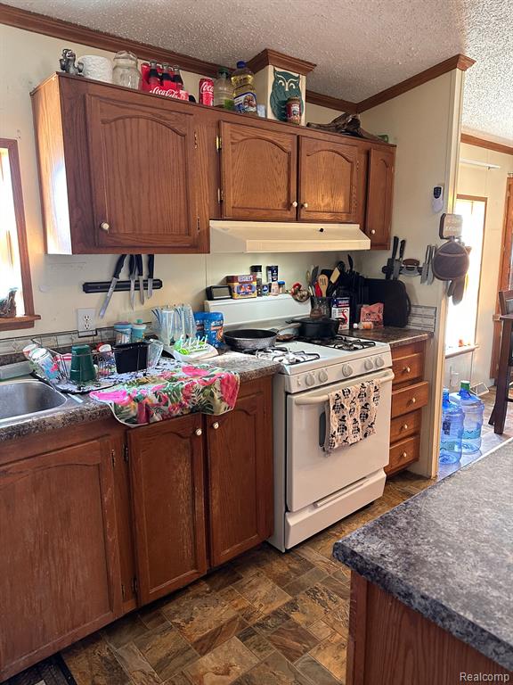 21171 West 6 Mile Road Reed City, MI 49677 - Photo 8 of 21