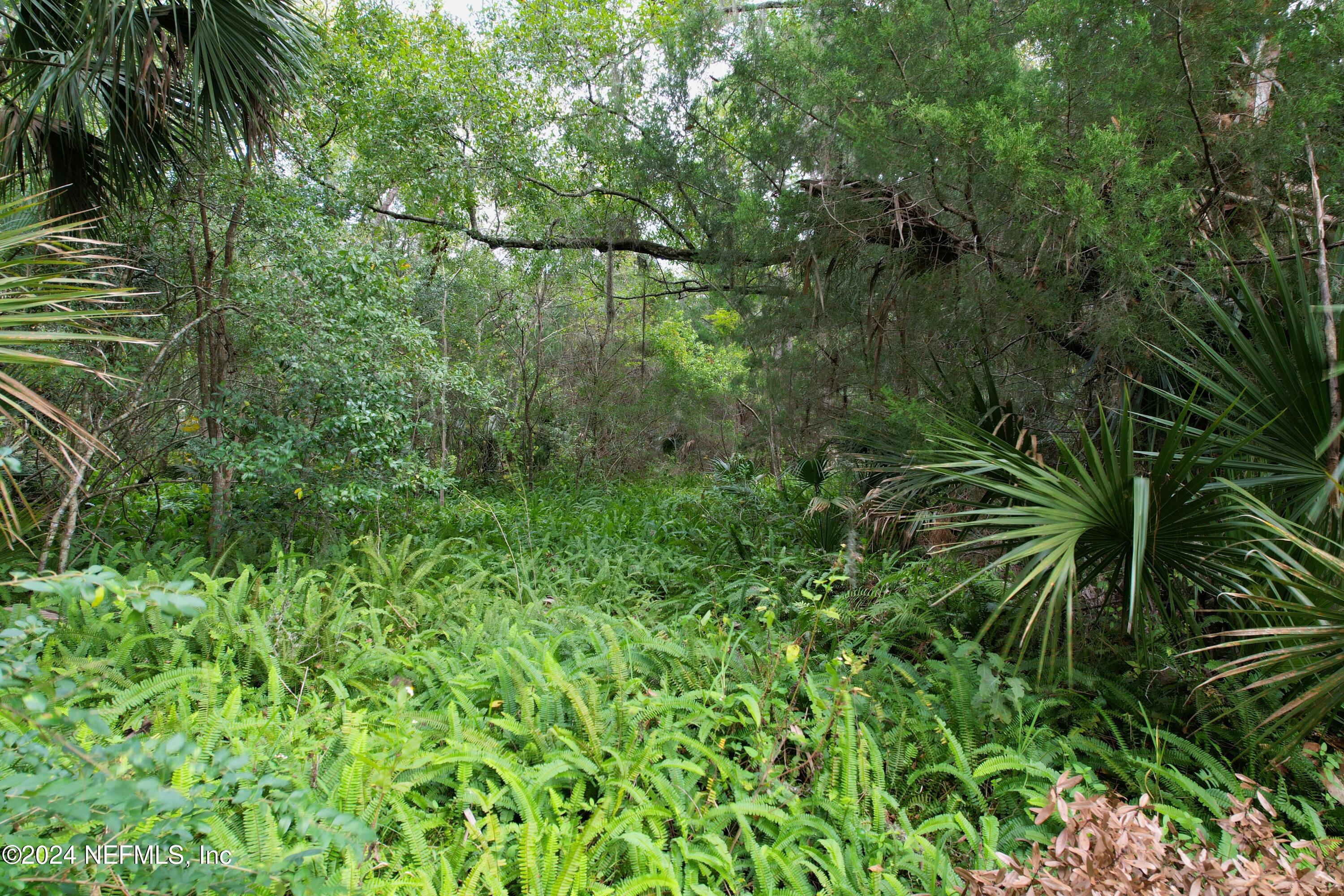 725 Helen Street St. Augustine, FL 32084 - Photo 8 of 15 8