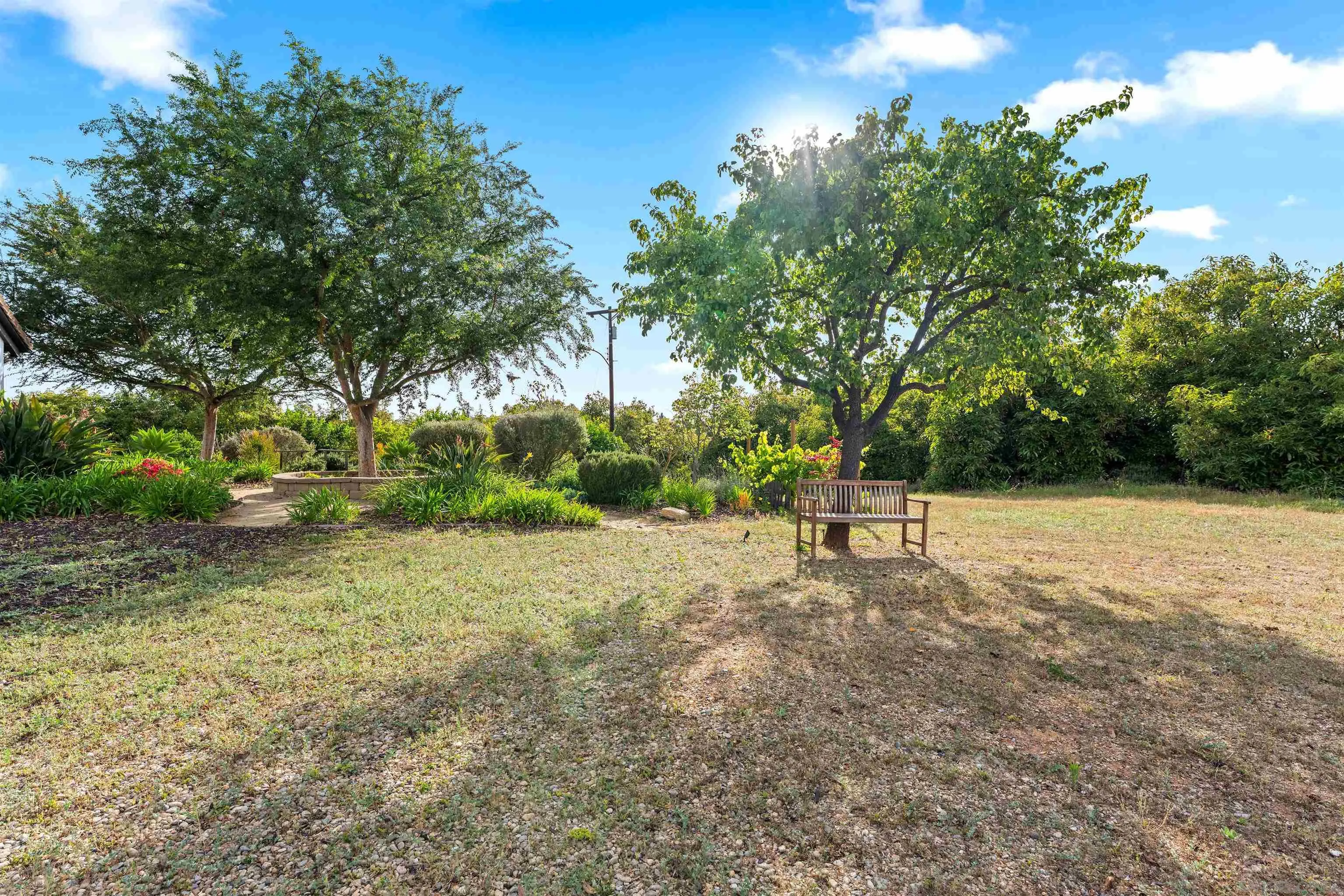 30659 Diaz Road Valley Center, CA 92082 - Photo 41 of 44 a view of a trees with a yard