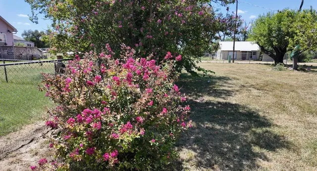 a view of a house with a big yard and flower plants