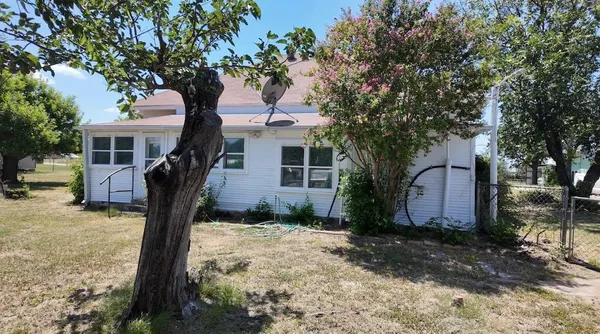 a tree in front of a white house