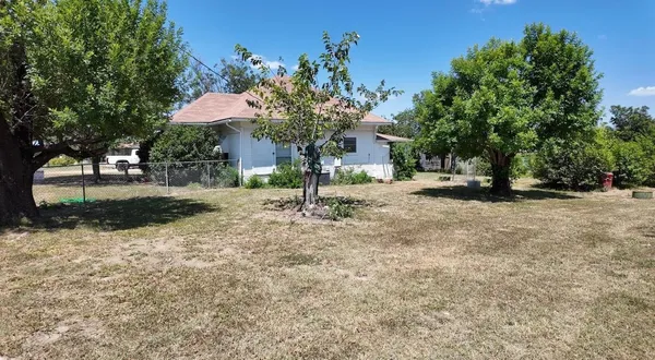 a view of a park with a tree