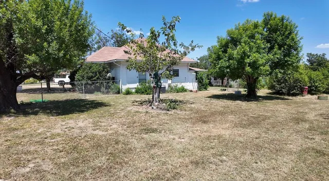 a view of a park with a tree