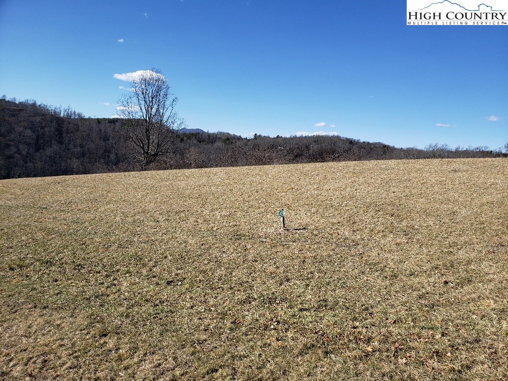 Lot #10 Moxley Ridge Road Sparta, VA 28675 - Photo 15 of 28