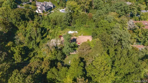 a view of a tree with a yard