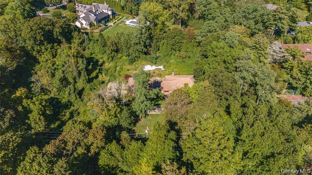 169 Middle Neck Road Sands Point, NY 11050 - Photo 5 of 15 a view of a tree with a yard