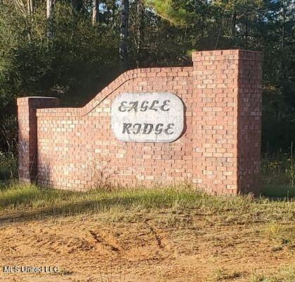 Lot 10 Eagle Rdg Road Vancleave, MS 39565 - Photo 8 of 8 Eagle Ridge Subdivision Entrance