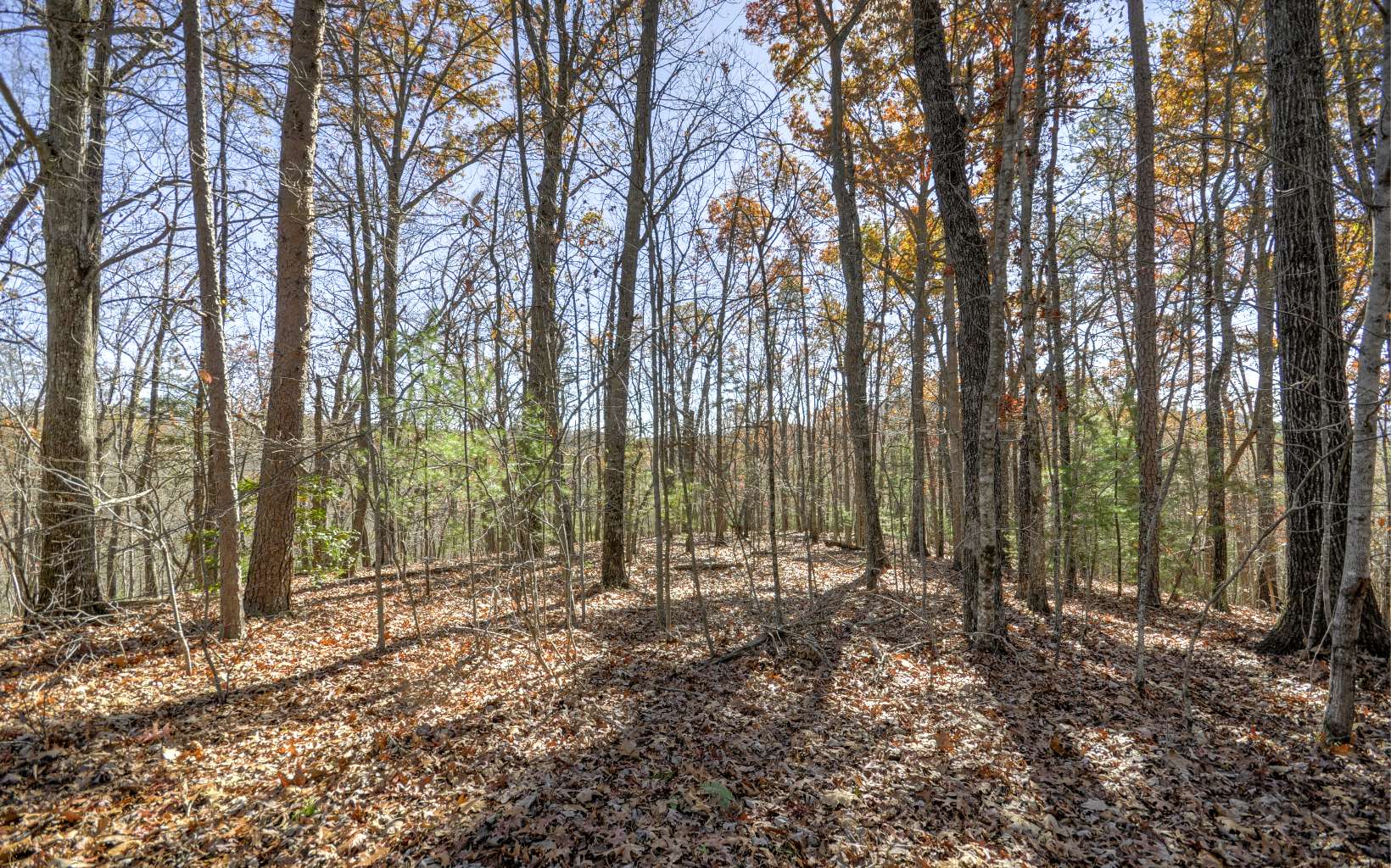 Whittlers Mountain Road Murphy, NC 28906 - Photo 3 of 4 Additional View