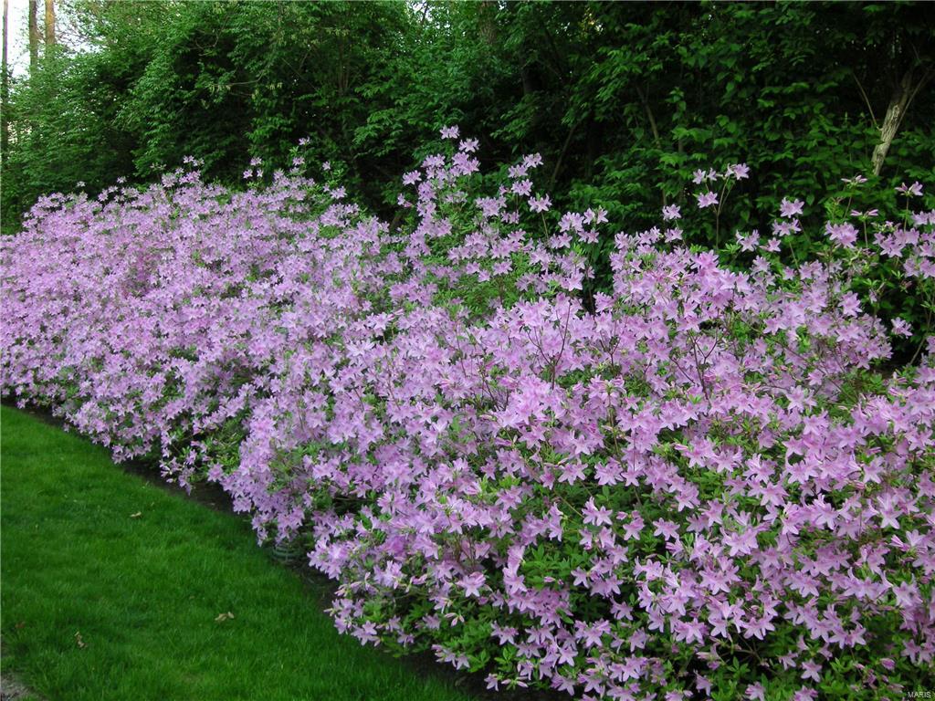 22 Dunleith Drive Ladue, MO 63124 - Photo 25 of 25