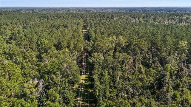 27499 Turkey Creek Road Independence, LA 70443 - Photo 21 of 28