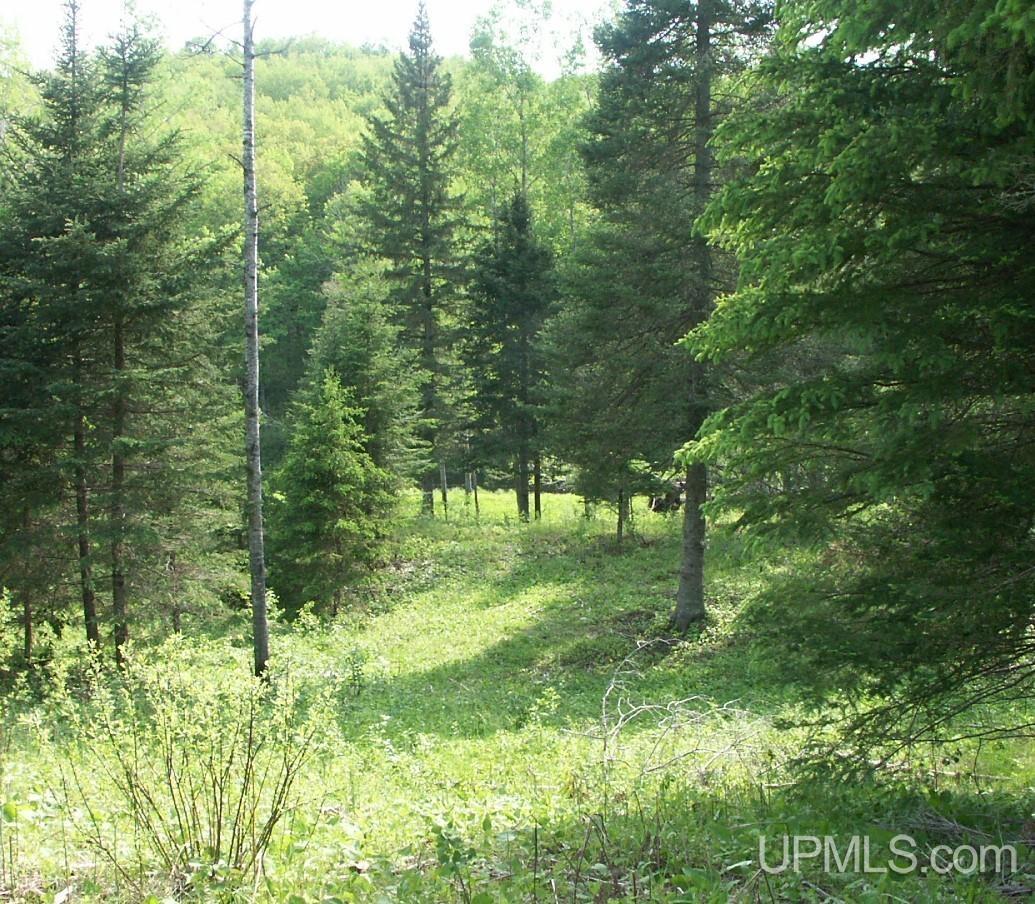 Tbd River Country Road Iron River, MI 49935 - Photo 10 of 10