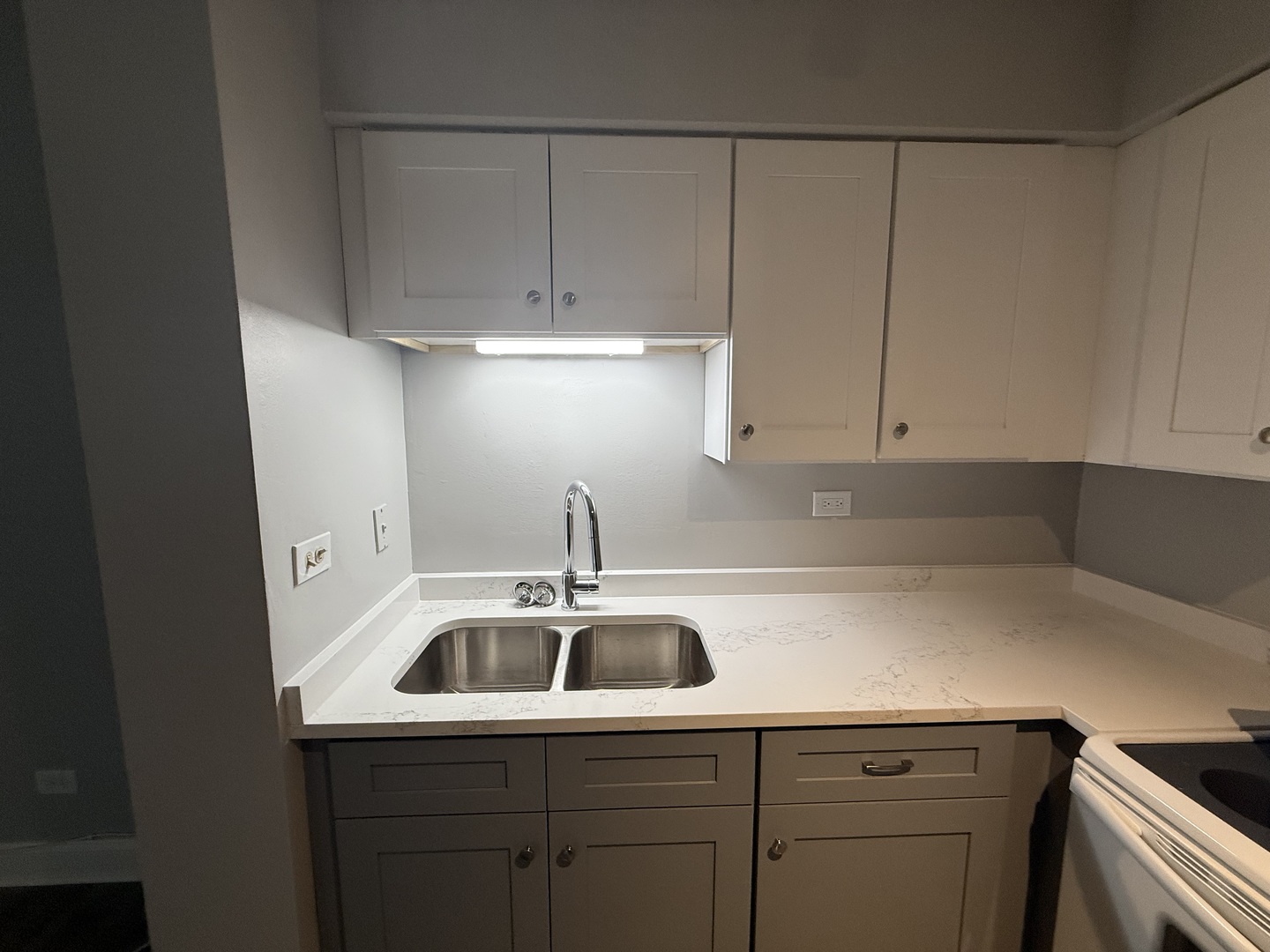 744 West Gordon Terrace, Unit 101 Chicago, IL 60613 - Photo 6 of 10 a kitchen with a sink and cabinets