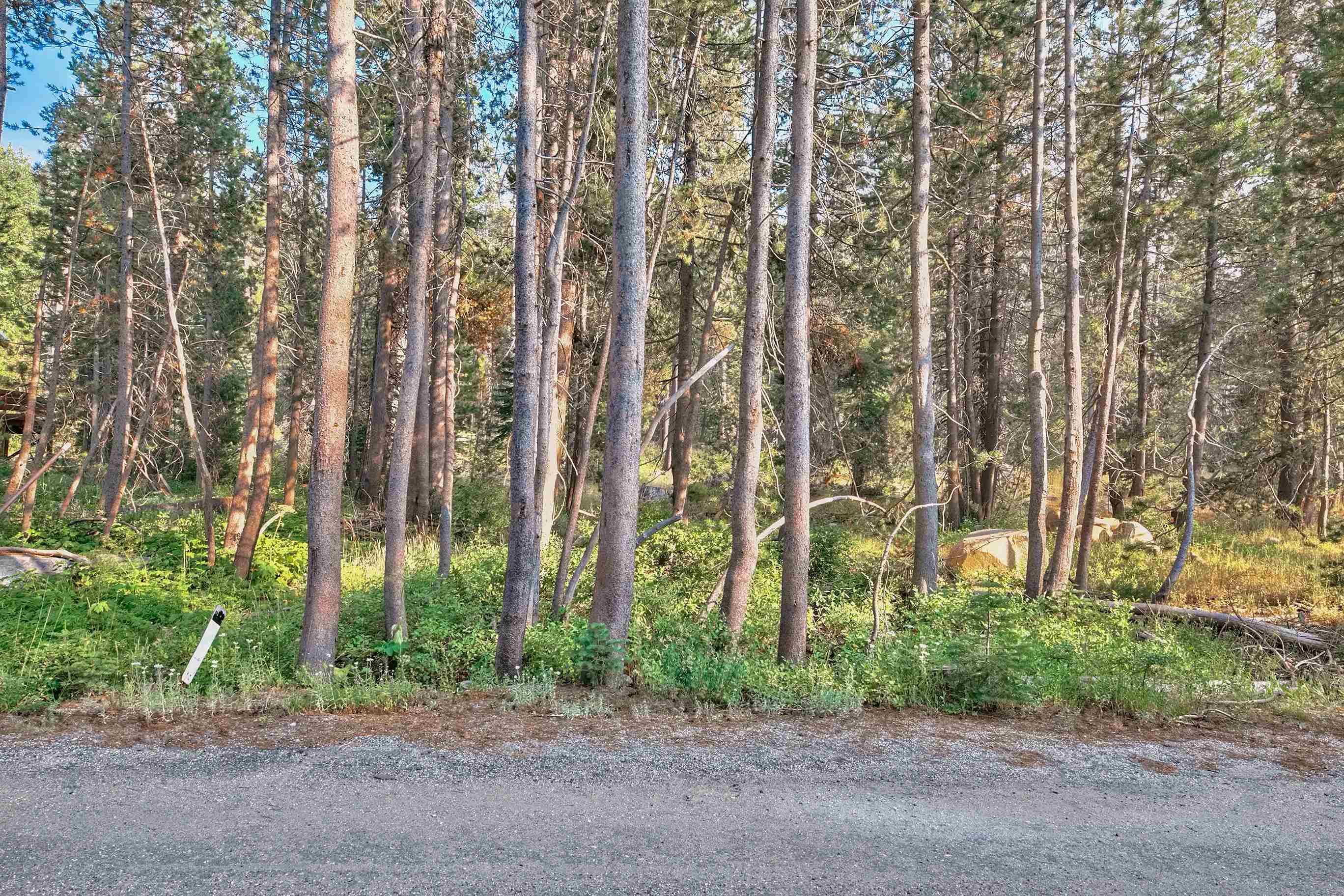 51357 Donner Pass Road Soda Springs, CA 95728 - Photo 10 of 17