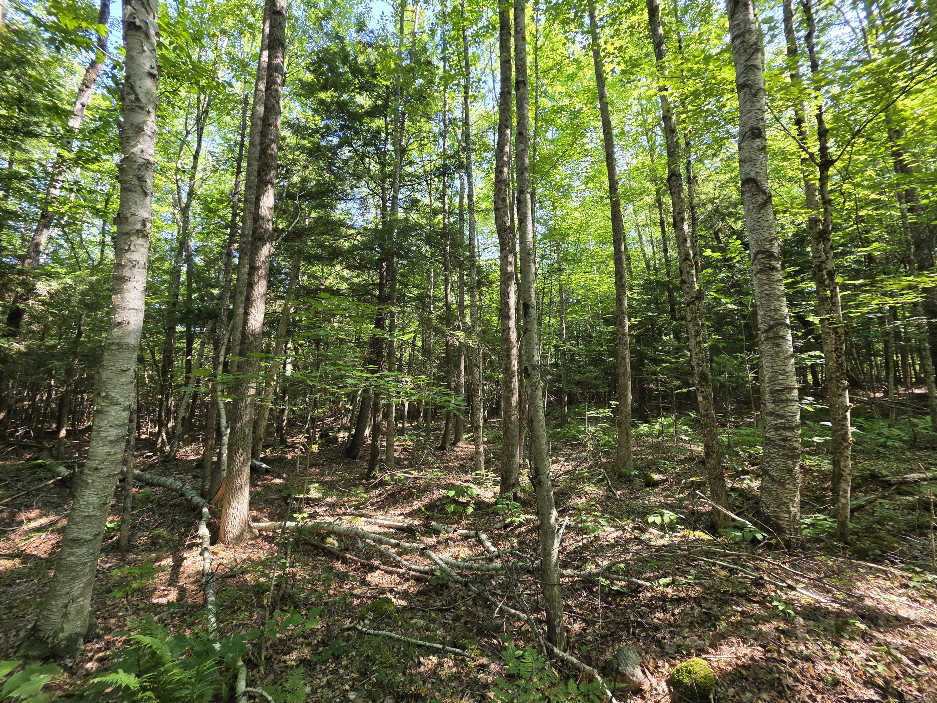 4 Lowell Road Enfield, ME 04493 - Photo 11 of 13 20260812_101924
