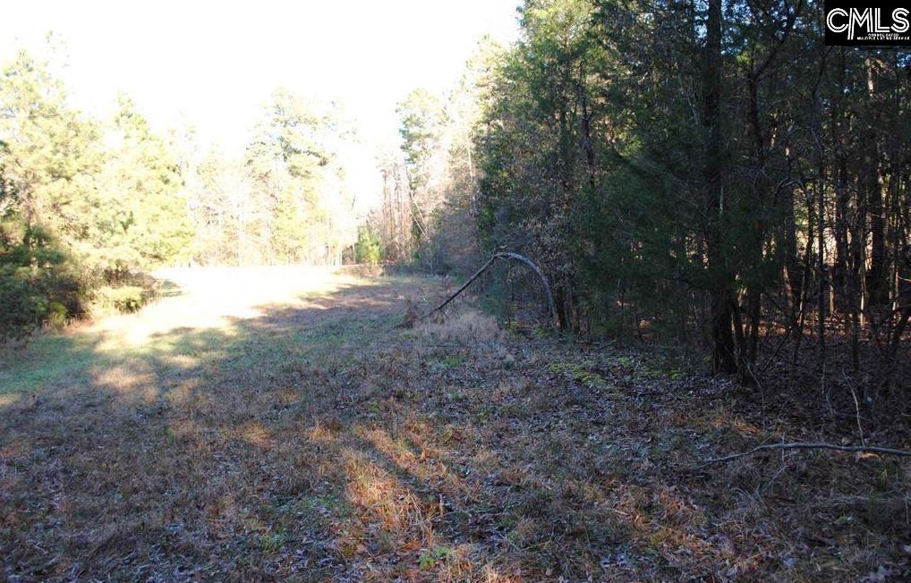 E/s Old Hilton Road Chapin, SC 29036 - Photo 3 of 6