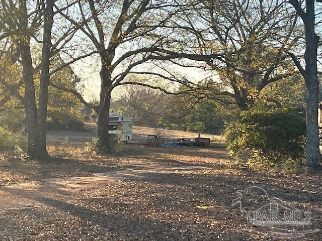 3382 South Palmers Road Uriah, AL 36480 - Photo 3 of 13