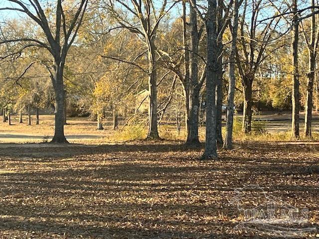 3382 South Palmers Road Uriah, AL 36480 - Photo 4 of 13