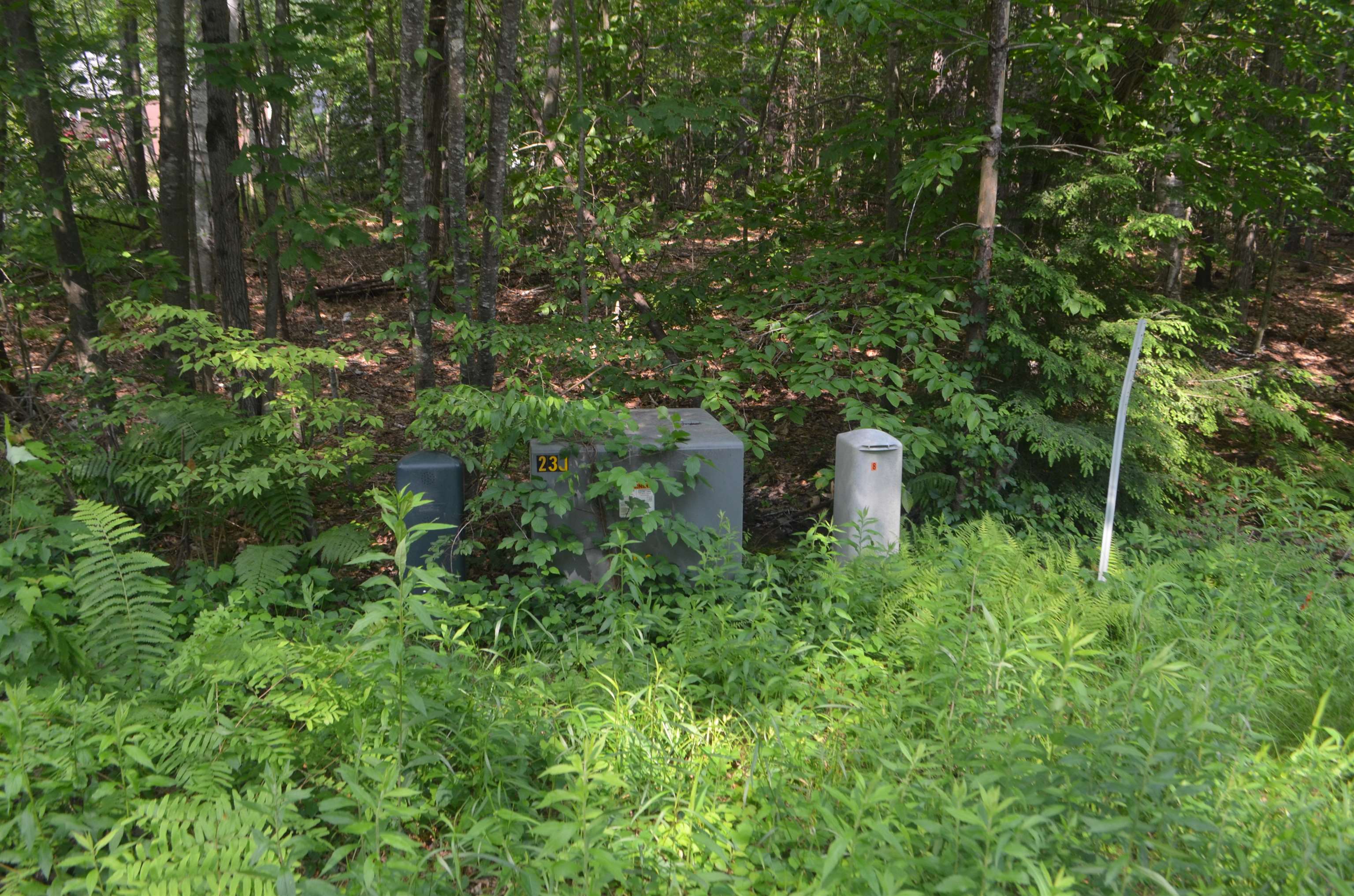 Galloping Hill Road Hopkinton, NH 03229 - Photo 3 of 10
