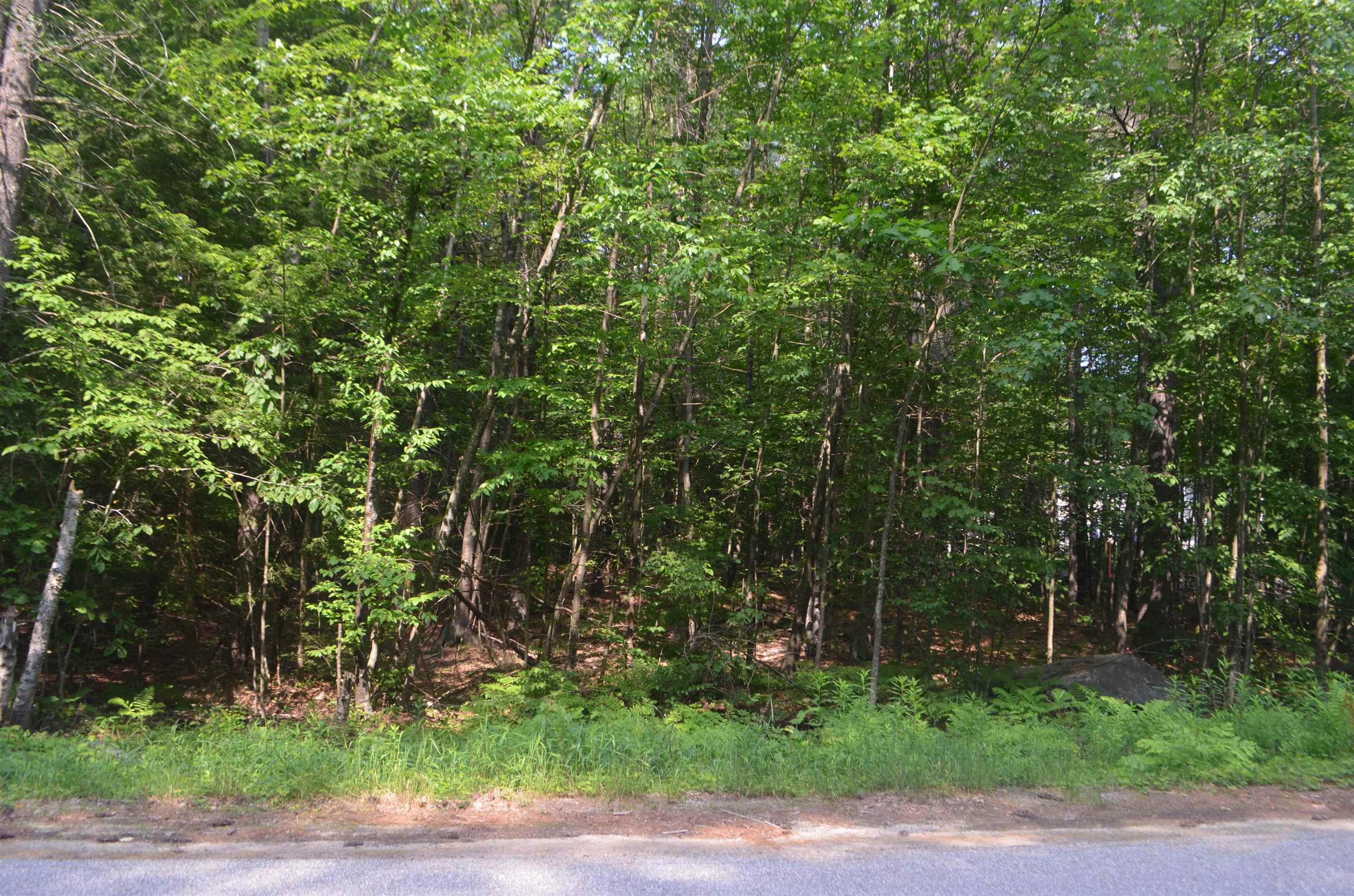 Galloping Hill Road Hopkinton, NH 03229 - Photo 4 of 10