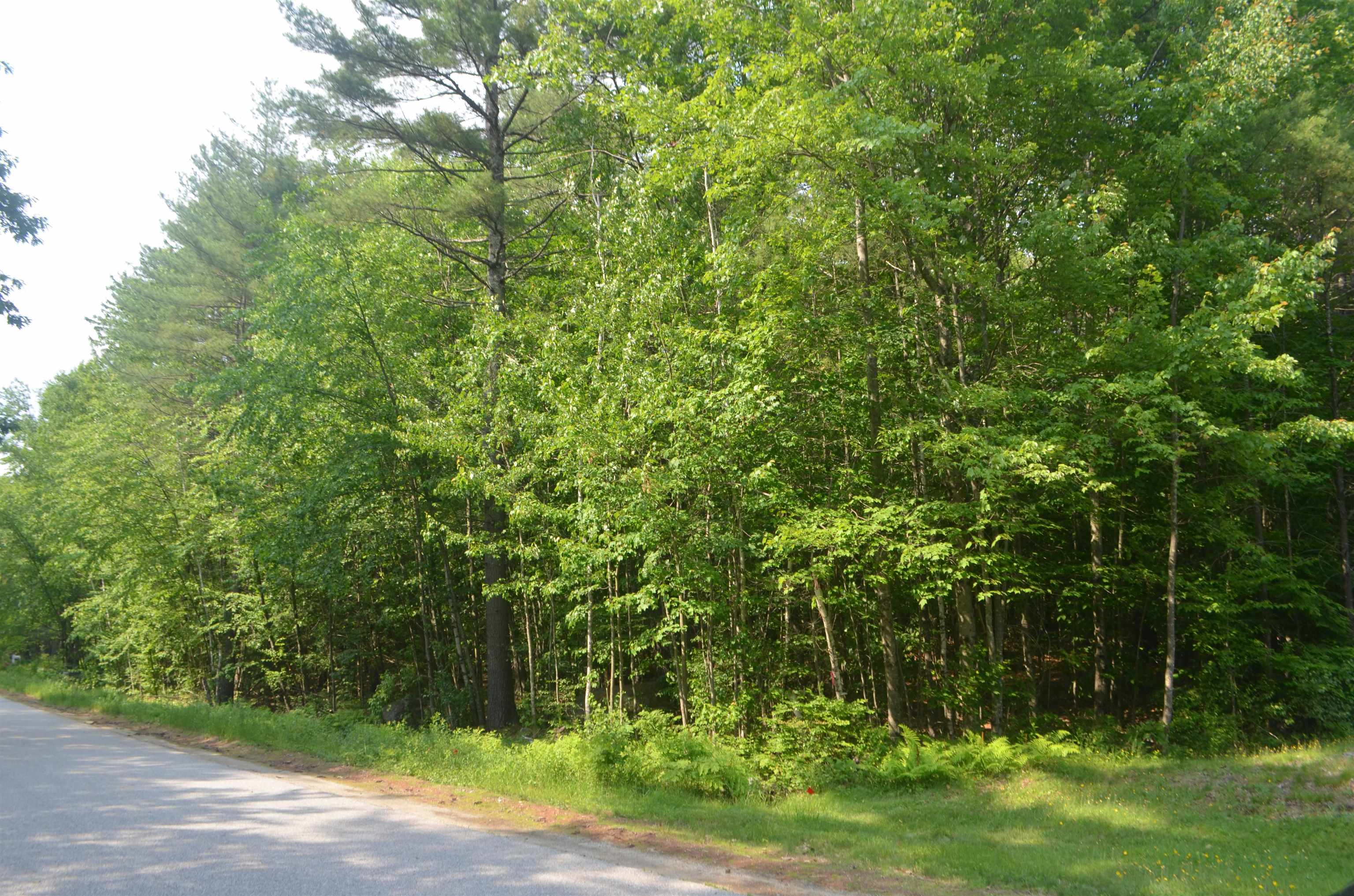 Galloping Hill Road Hopkinton, NH 03229 - Photo 7 of 10