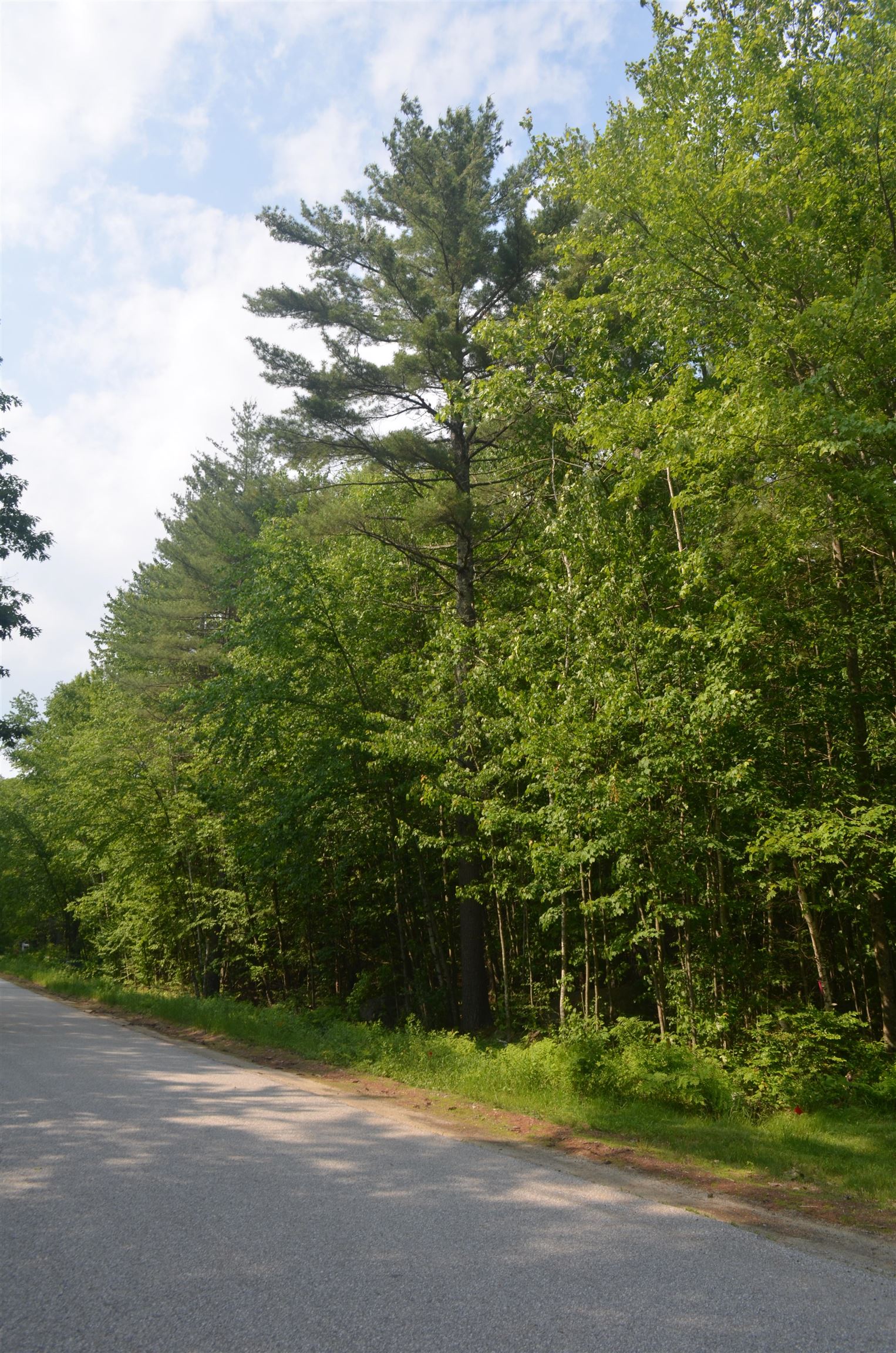 Galloping Hill Road Hopkinton, NH 03229 - Photo 8 of 10