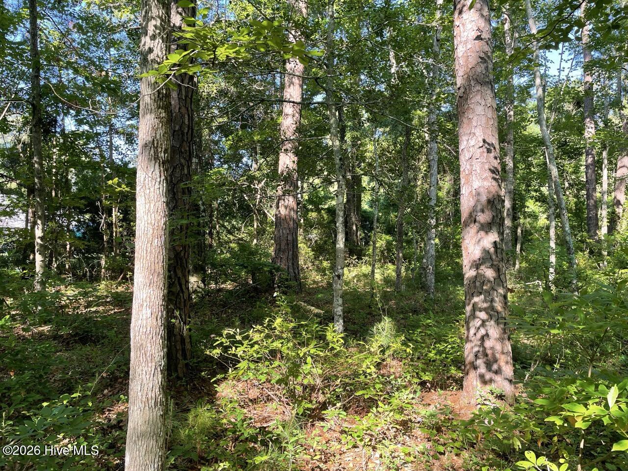 126 Deer Trail Beaufort, NC 28516 - Photo 14 of 27 IMG_4766 Large