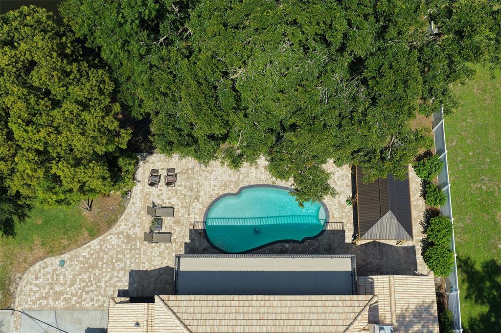793 Duque Road Lutz, FL 33549 - Photo 41 of 43 Gallery Image 41