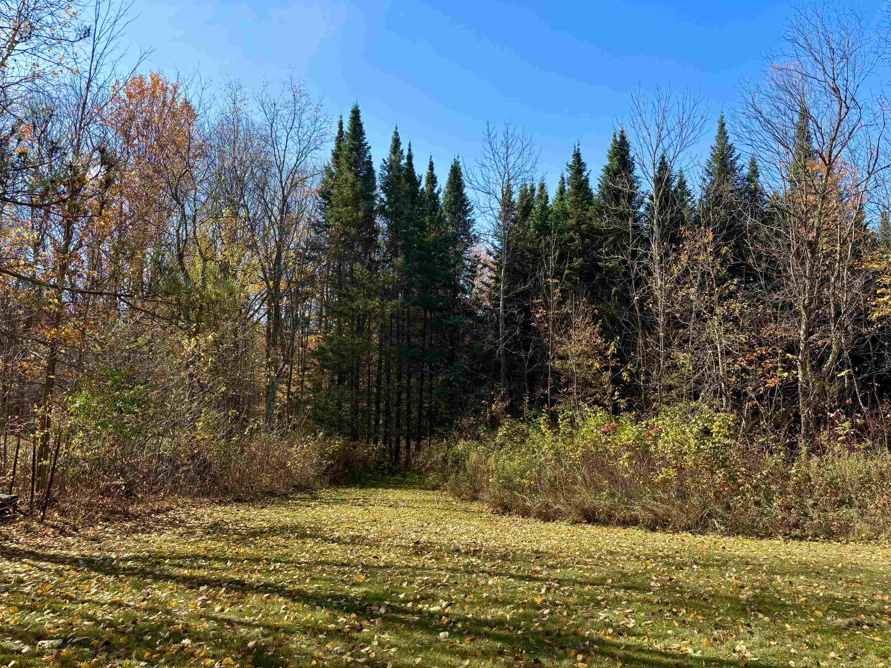 N6441 Lindow Road Prentice, WI 54556 - Photo 8 of 47