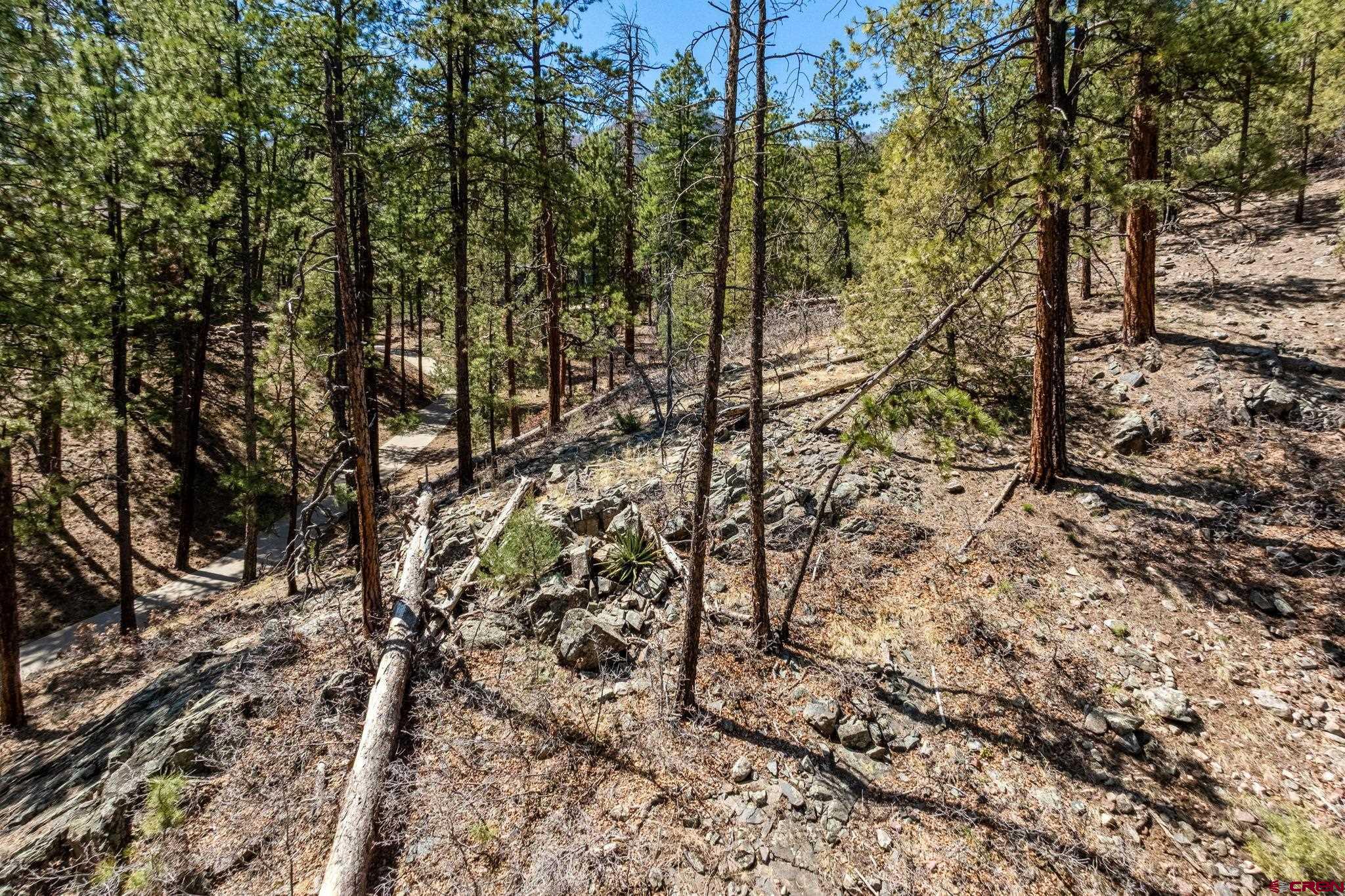 91 Ambush Canyon Durango, CO 81301 - Photo 17 of 25