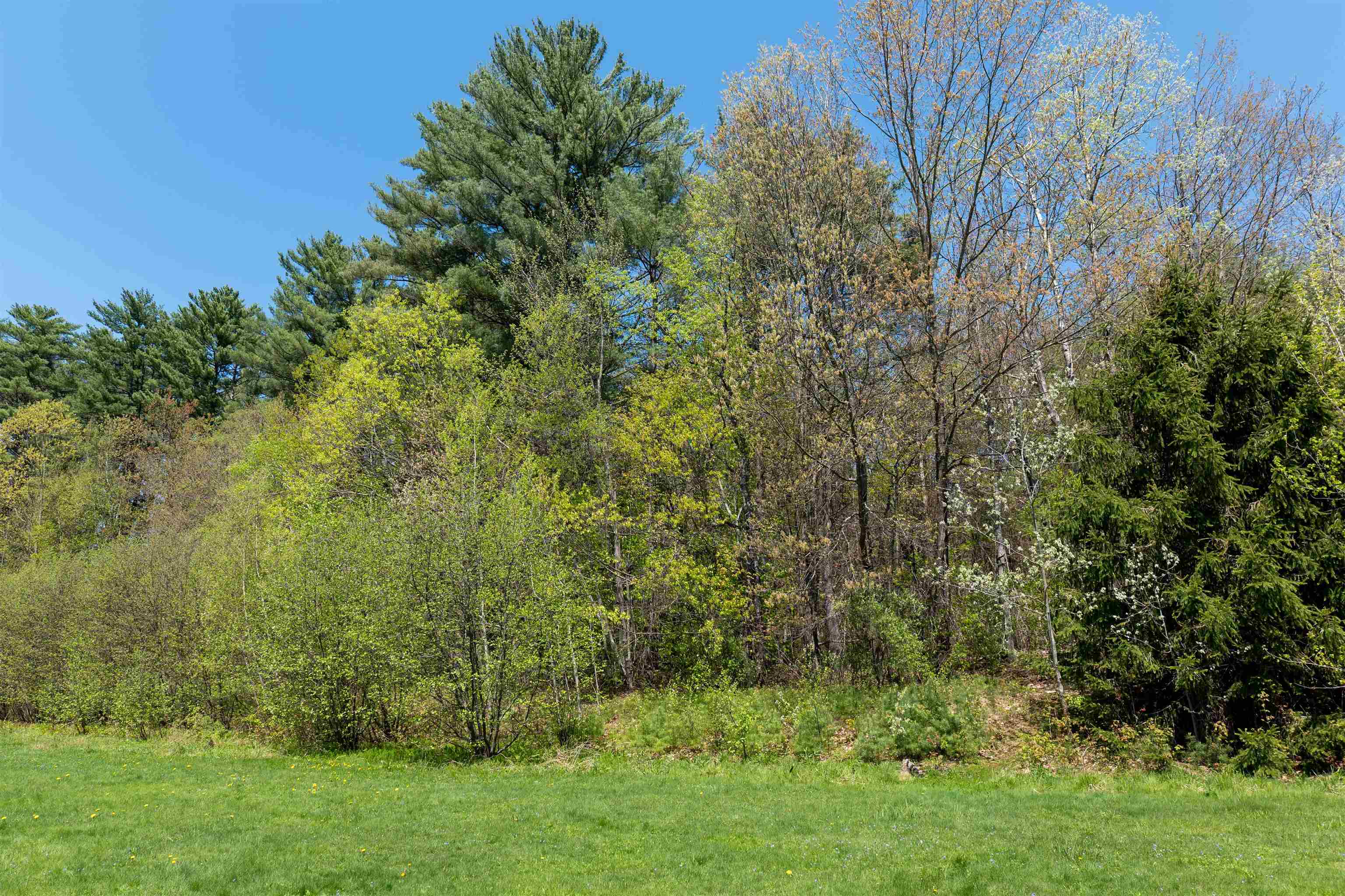 Rowell Drive Franklin, NH 03235 - Photo 11 of 26