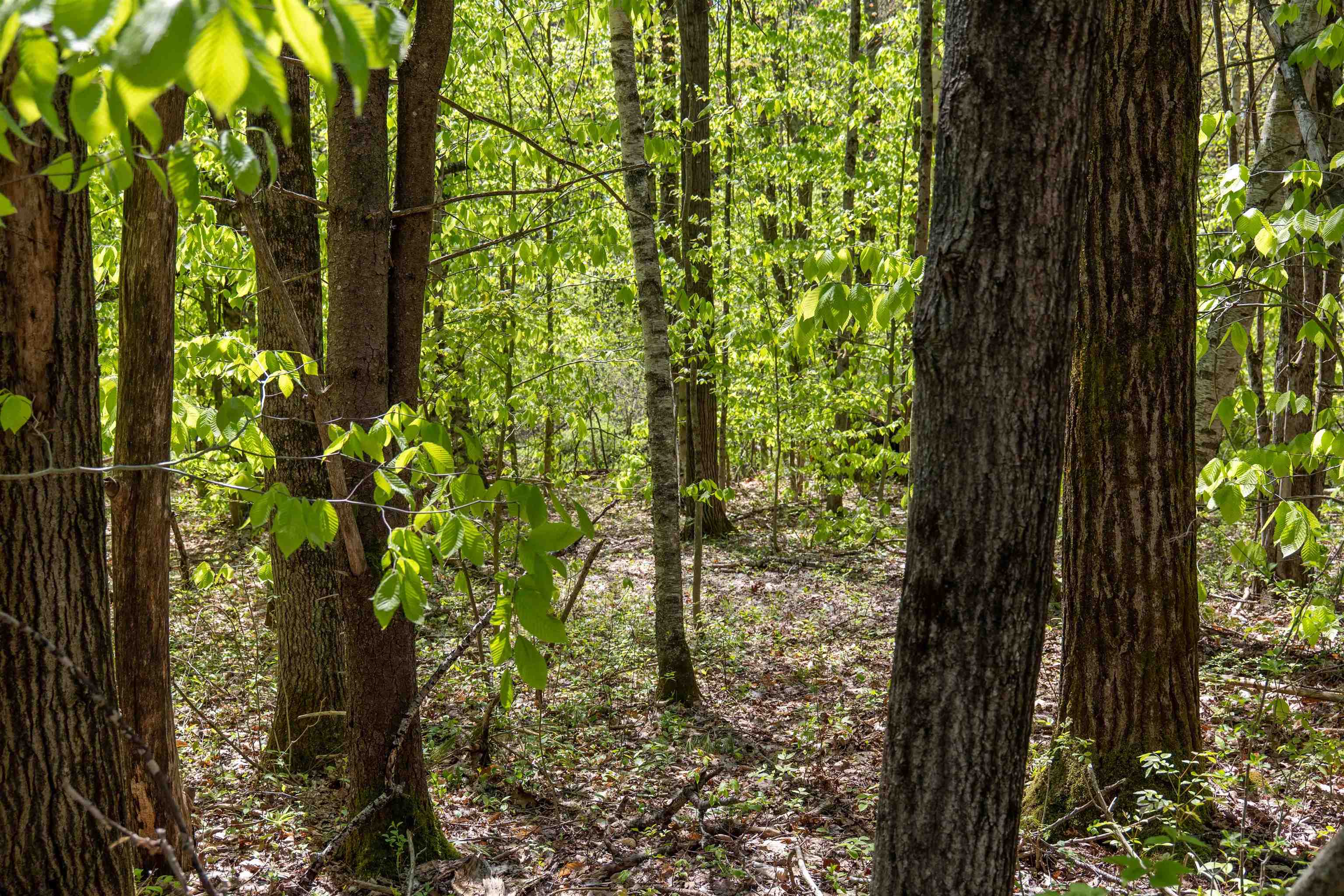 Rowell Drive Franklin, NH 03235 - Photo 15 of 26