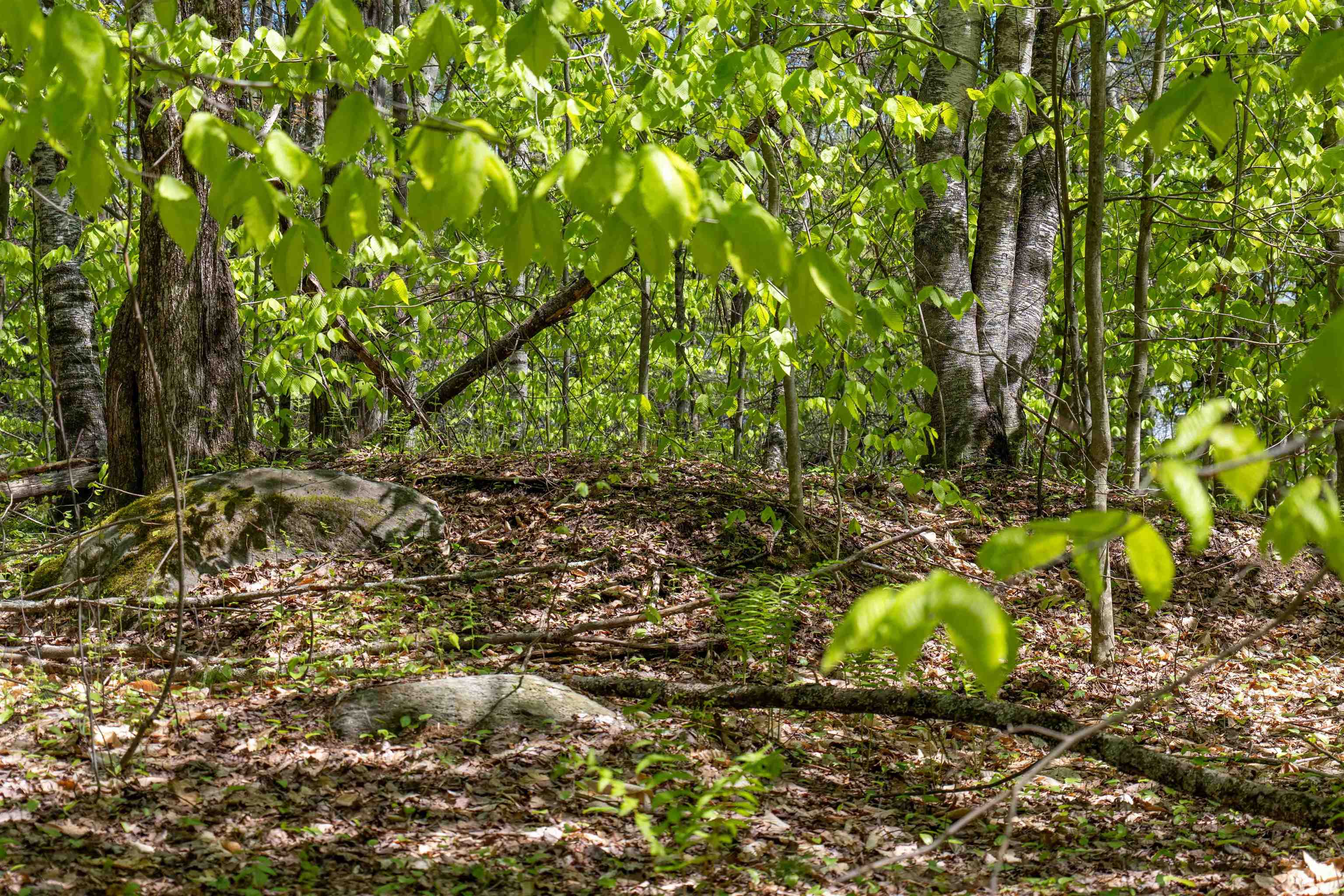 Rowell Drive Franklin, NH 03235 - Photo 17 of 26