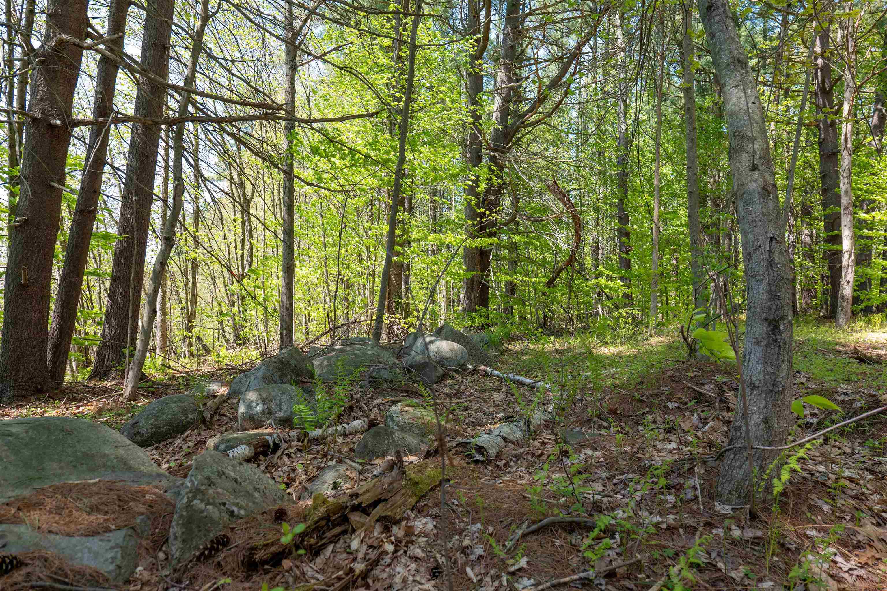 Rowell Drive Franklin, NH 03235 - Photo 18 of 26