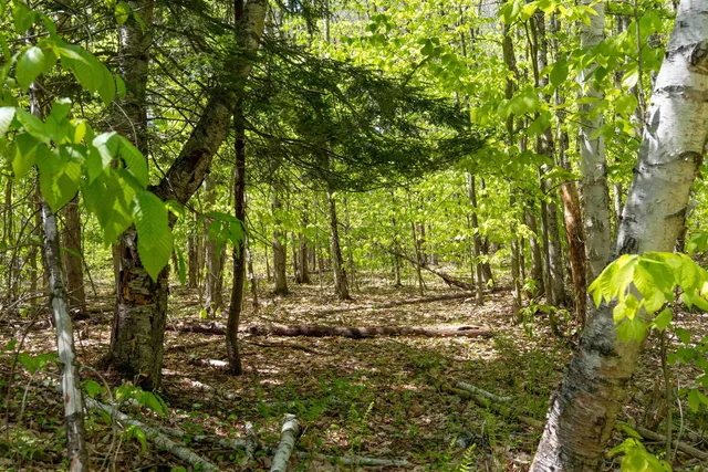 $169,000 | Rowell Drive, Franklin, NH 03235